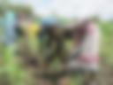 Agro-Meteorological Decision Support